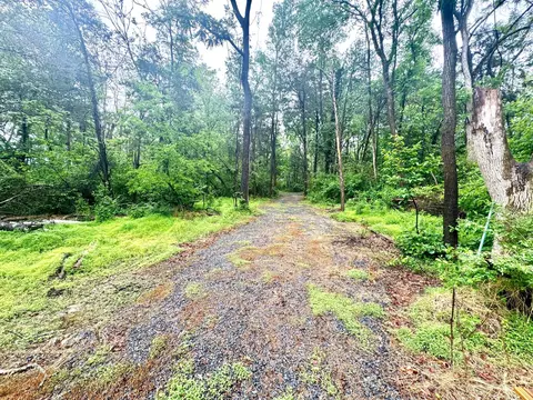 Slaughters Mill Rd, Mitchells, VA 22729 photo 4