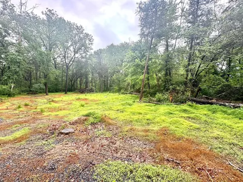 Slaughters Mill Rd, Mitchells, VA 22729 photo 5