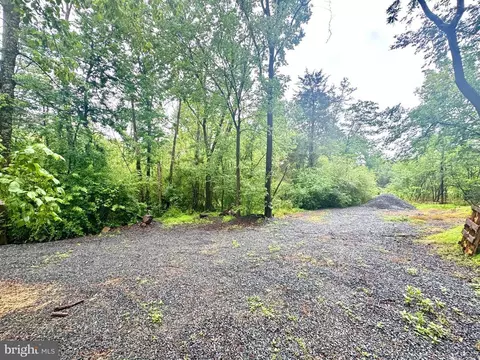 Slaughters Mill Rd, Mitchells, VA 22729 photo 2