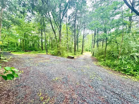 Slaughters Mill Rd, Mitchells, VA 22729 photo 3