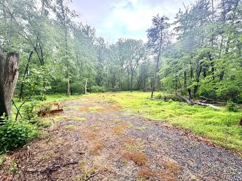 Slaughters Mill Rd, Mitchells, VA 22729 photo 6