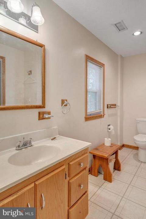 13 Austin Dr, Palmyra, VA 22963 photo 21