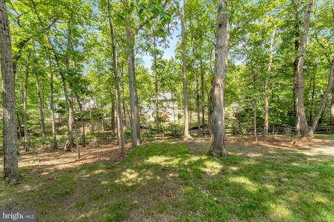 13 Austin Dr, Palmyra, VA 22963 photo 47