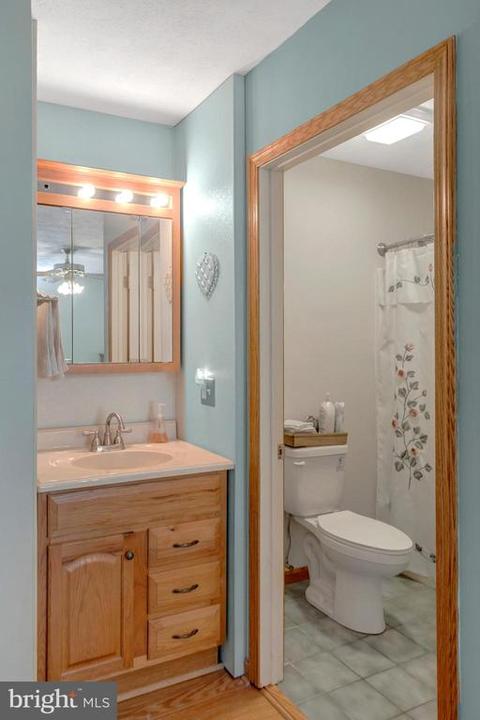 13 Austin Dr, Palmyra, VA 22963 photo 19