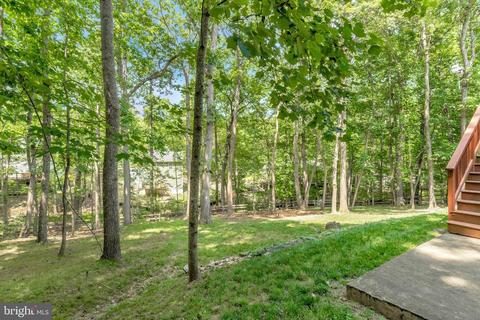 13 Austin Dr, Palmyra, VA 22963 photo 30