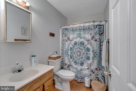 13 Austin Dr, Palmyra, VA 22963 photo 15
