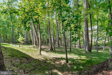 13 Austin Dr, Palmyra, VA 22963 photo 49