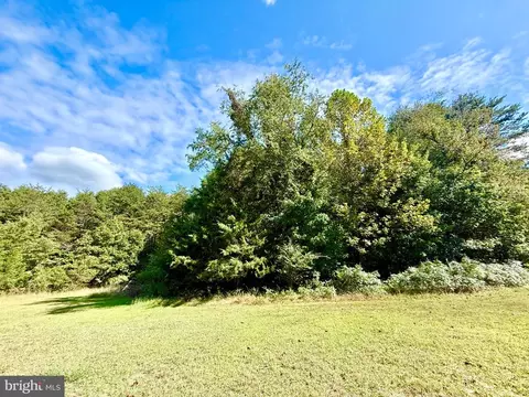 4345 Shores Rd, Palmyra, VA 22963 photo 39