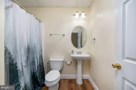 11 Horseback Ln, Palmyra, VA 22963 photo 46