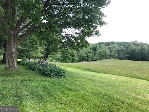 3074 Rectortown Rd, Marshall, VA 20115 photo 5