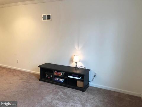 4469 Silver Hill Ct, Sumerduck, VA 22742 photo 51