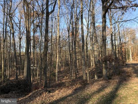 4469 Silver Hill Ct, Sumerduck, VA 22742 photo 8