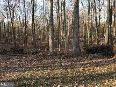 4469 Silver Hill Ct, Sumerduck, VA 22742 photo 7