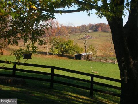 3724 Rectortown Rd, Marshall, VA 20115 photo 65