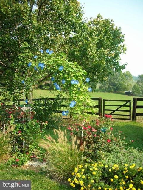 3724 Rectortown Rd, Marshall, VA 20115 photo 66