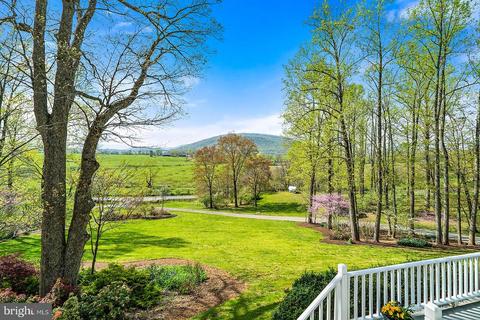 10156 Ada Rd, Marshall, VA 20115 photo 19