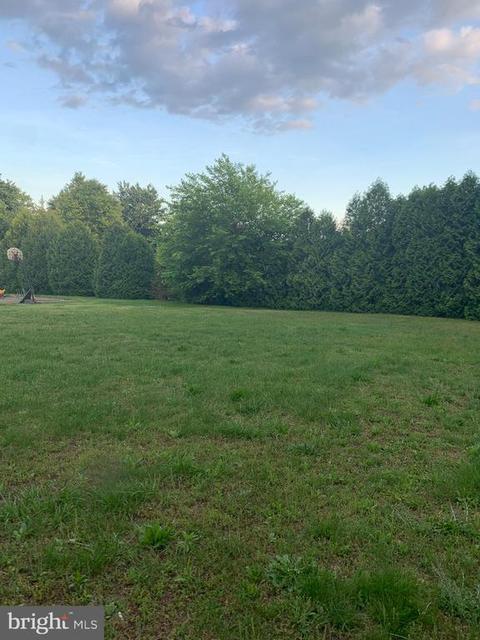 13009 Silver Cloud Rd, Bealeton, VA 22712 photo 53