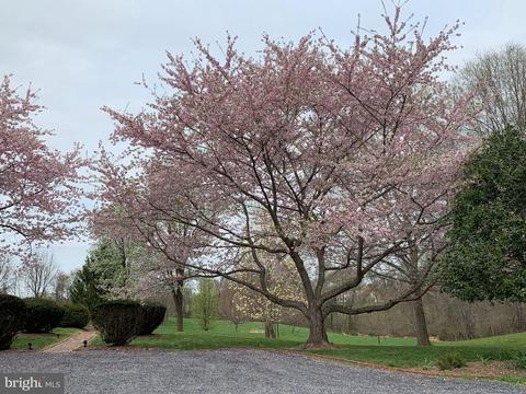7583 Old Carters Mill Rd, Marshall, VA 20115 photo 25