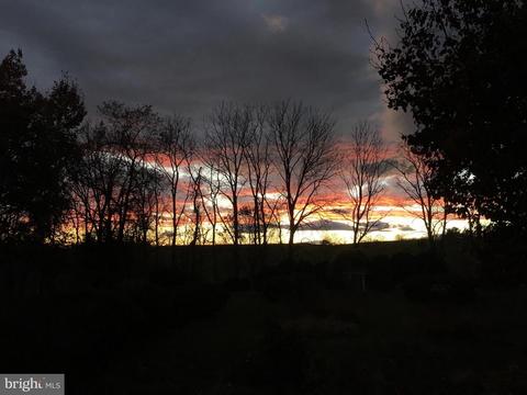 7583 Old Carters Mill Rd, Marshall, VA 20115 photo 27