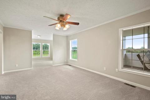 8232 Burwell Rd, Catlett, VA 20119 photo 24
