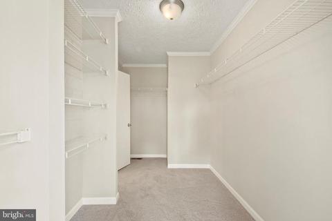 8232 Burwell Rd, Catlett, VA 20119 photo 22