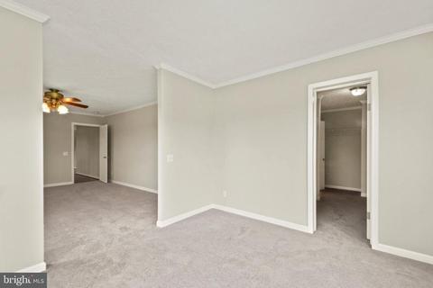 8232 Burwell Rd, Catlett, VA 20119 photo 20