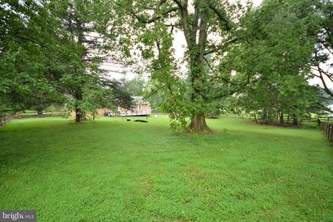 5534 Old Bust Head Rd, Broad Run, VA 20137 photo 4