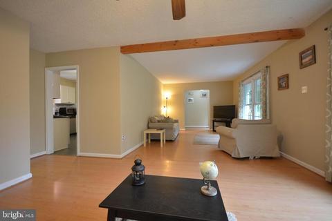 5534 Old Bust Head Rd, Broad Run, VA 20137 photo 13