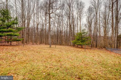 5562 Snow Mountain Rd, Broad Run, VA 20137 photo 40