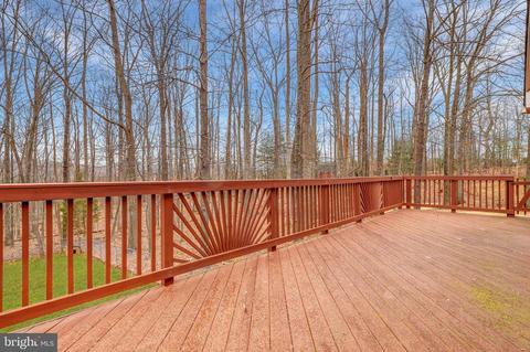 5562 Snow Mountain Rd, Broad Run, VA 20137 photo 19