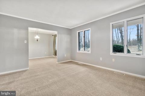 5562 Snow Mountain Rd, Broad Run, VA 20137 photo 9