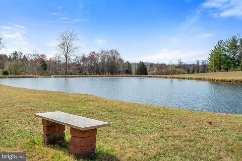 6087 Georgetown Rd, Broad Run, VA 20137 photo 56