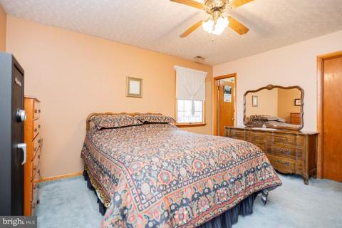 8574 Mountainview Ave, Marshall, VA 20115 photo 20