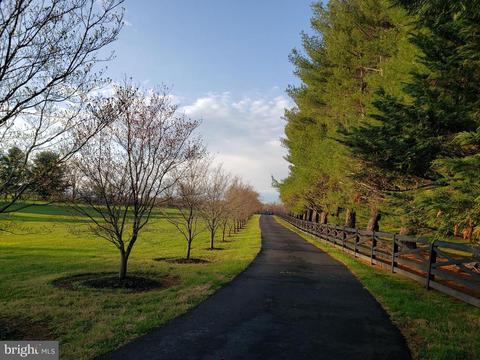 9395 Ramey Rd, Marshall, VA 20115 photo 67