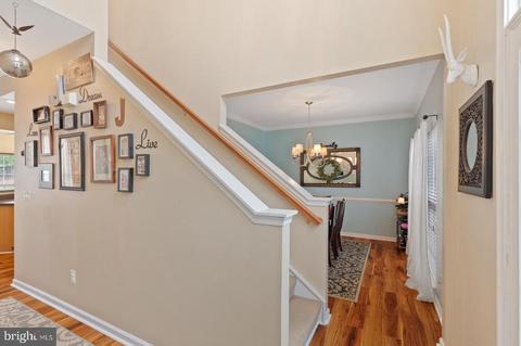 6606 Declaration Ct, Bealeton, VA 22712 photo 9
