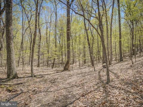 9335 Ada Rd, Marshall, VA photo 6