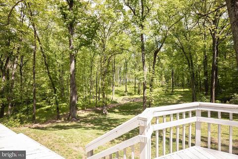 3755 Rectortown Rd, Marshall, VA 20115 photo 31
