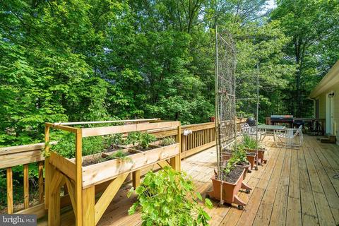 8007 Taylor Rd, Catlett, VA 20119 photo 36