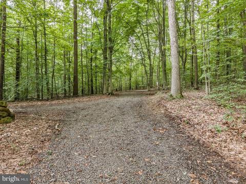 8113 Dulins Ford Rd, Marshall, VA photo 12