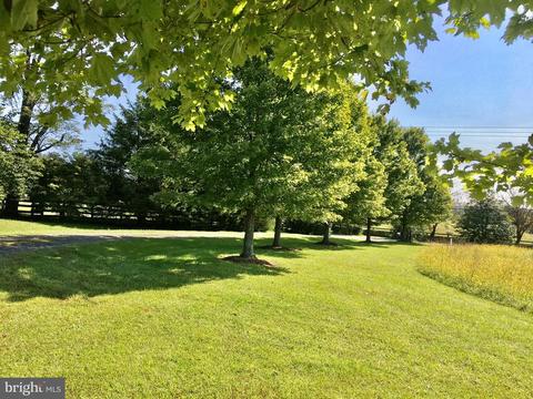 6672 John Barton Payne Rd, Marshall, VA 20115 photo 44