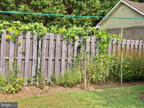 6672 John Barton Payne Rd, Marshall, VA 20115 photo 37