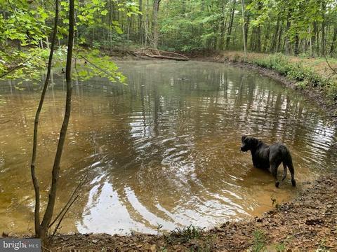 9396 Mountjoy Rd, Marshall, VA 20115 photo 44