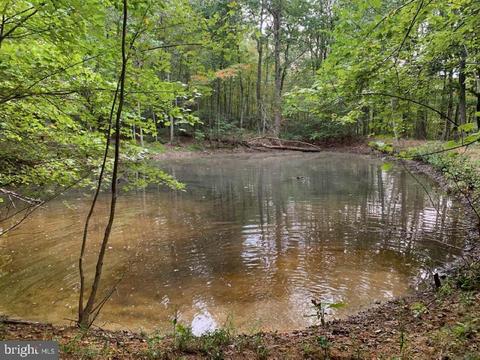 9396 Mountjoy Rd, Marshall, VA 20115 photo 43