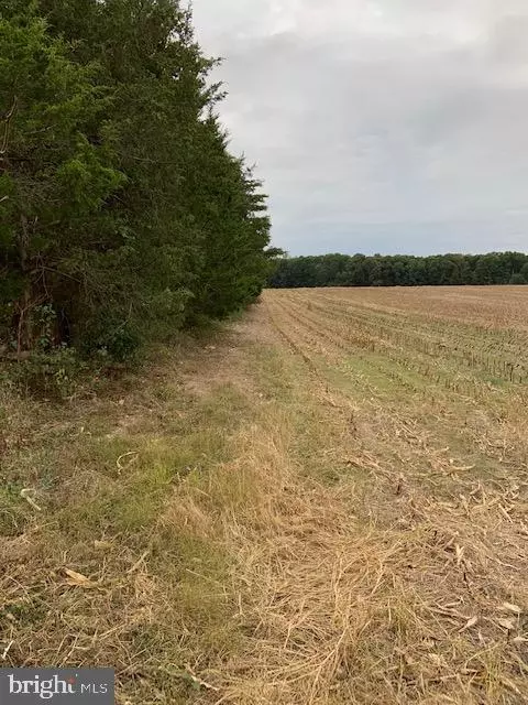 Windwright Ln & Shenandoah P, Catlett, VA photo 10