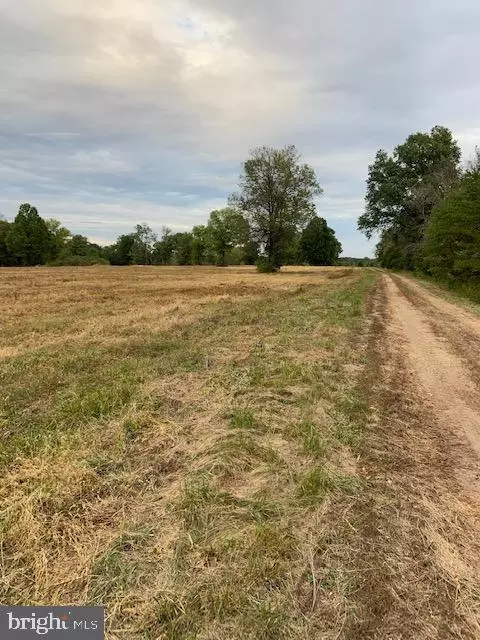 Windwright Ln & Shenandoah P, Catlett, VA photo 11