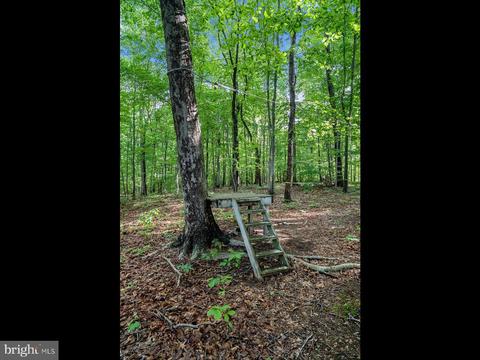 10448 Wheatley School Rd, Marshall, VA 20115 photo 46