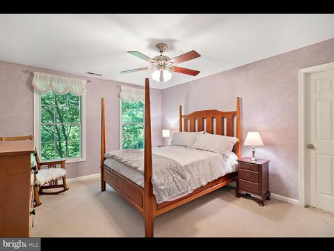 10448 Wheatley School Rd, Marshall, VA 20115 photo 29