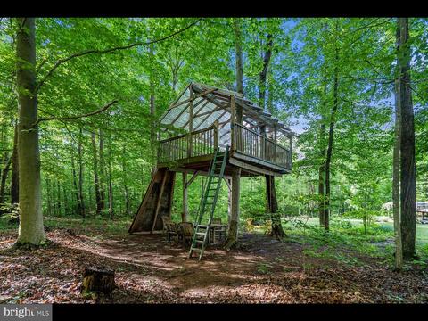 10448 Wheatley School Rd, Marshall, VA 20115 photo 47