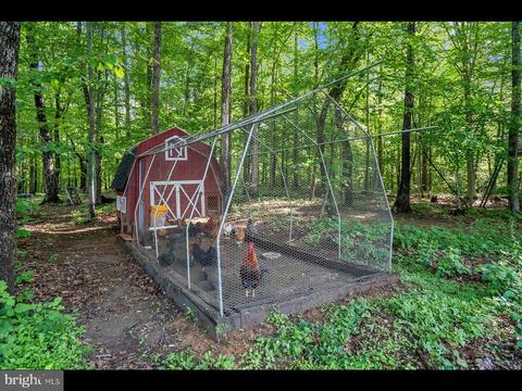 10448 Wheatley School Rd, Marshall, VA 20115 photo 45