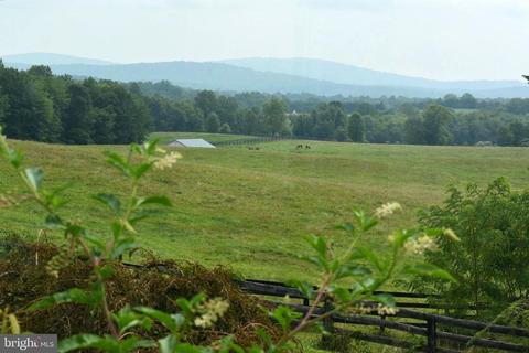 6464 John Barton Payne Rd, Marshall, VA 20115 photo 10